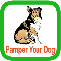 Pamper Your Dog