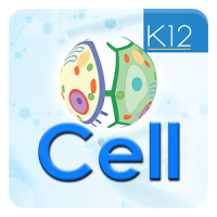 Cell Organelles - Biology