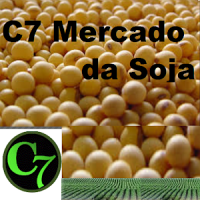 C7 Mercado da Soja