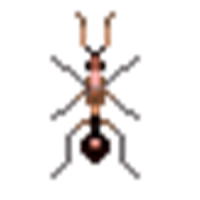 simulation ants
