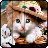 Puzzle de Chats