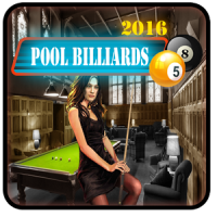 Pool Billiards 16