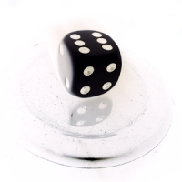Dice Roller with Notes