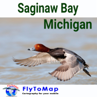 Saginaw Bay GPS Map Navigator