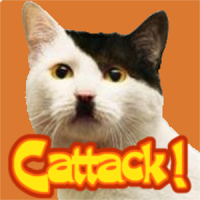Cattack