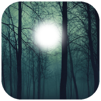 Dark Forest PhotoFrame
