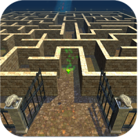 Maze / The Labyrinth
