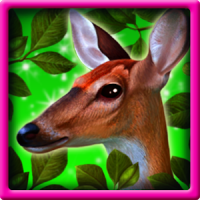 Forest Animals Slots