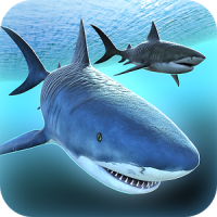 Sea Shark Adventure Game Free