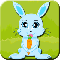 Kids Game-Crazy Bunny Veggie