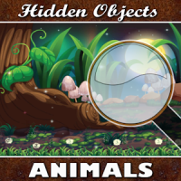 Hidden Objects Jungle Animals