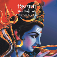Advanced Shiva Puja