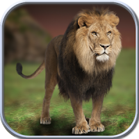 Wild Lion Simulator 2016