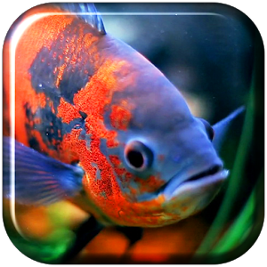 Aquarium 3D. Video Wallpaper
