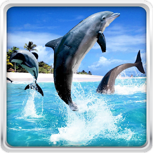 Dolphin HD Live Wallpaper