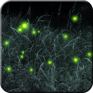 Firefly Live Wallpaper Free
