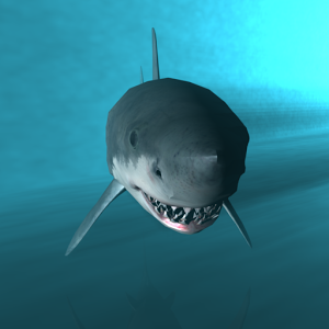 Shark Cage Dive 3D
