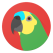 Parrots News (Material
Design)