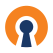 OpenVPN Connect –
Fast & Safe SSL VPN
Client