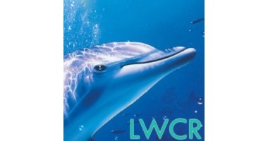 無料のイルカライブ壁紙 による無料ダウンロード Lwcr30dolphin Lwp